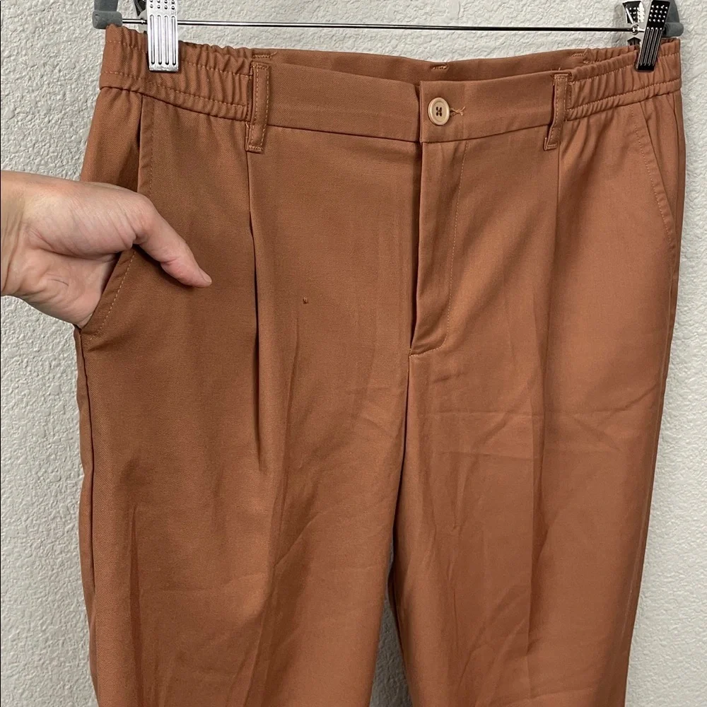 NWT Stilosophy Flannel Pleat Front Trouser Pants Cropped Short Sz IT 48